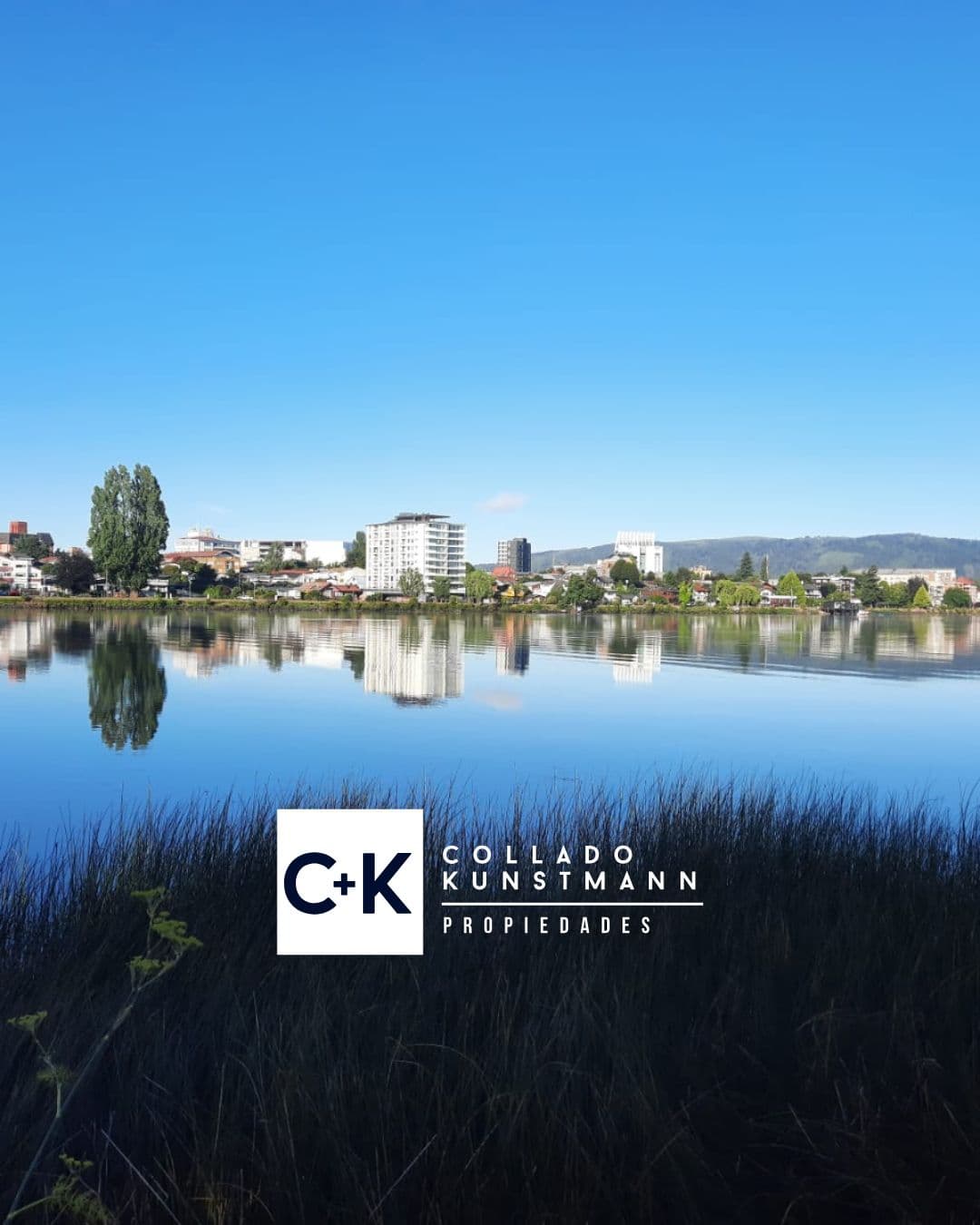 Sitio en Las Animas, Valdivia - Imagen 2