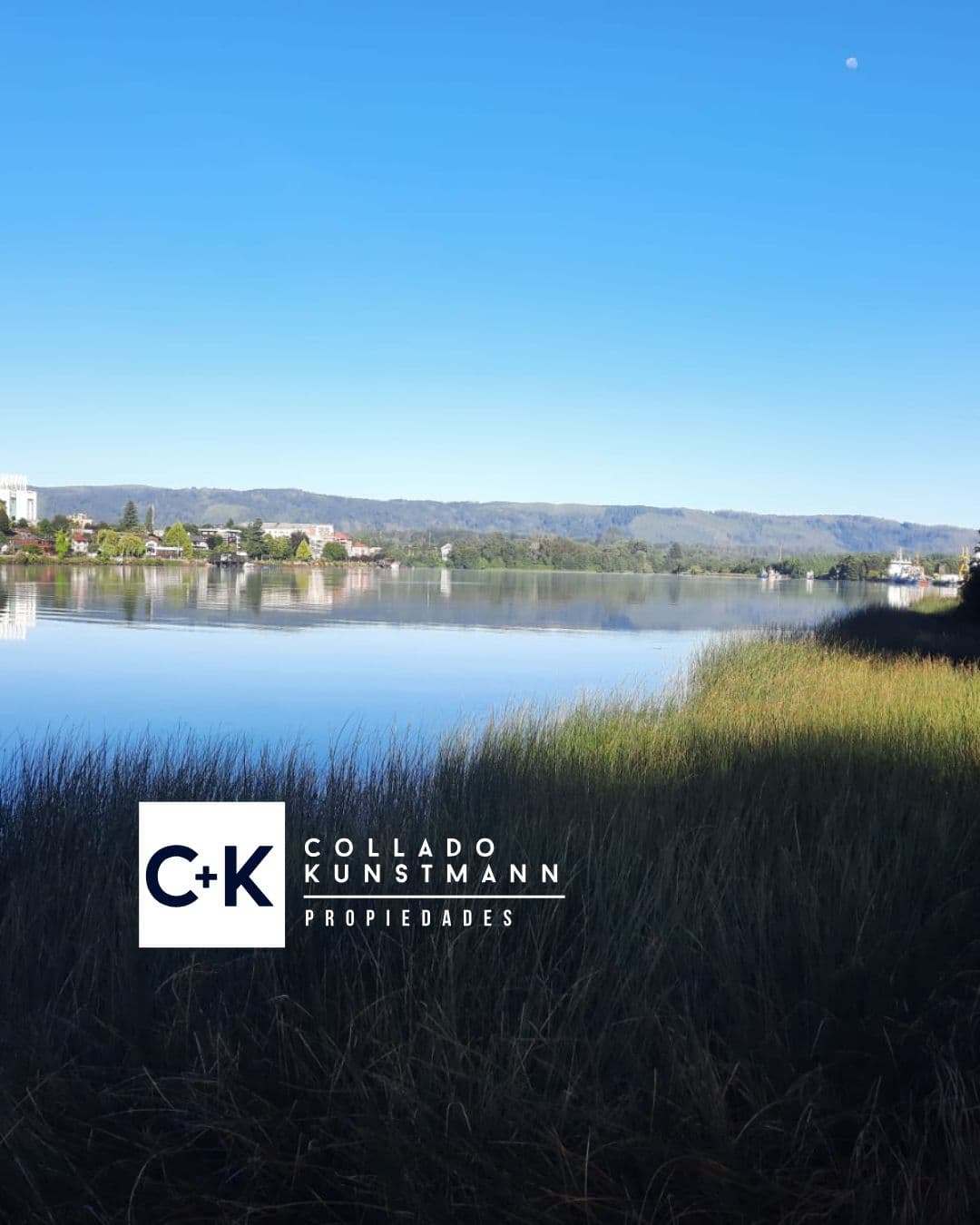 Sitio en Las Animas, Valdivia - Imagen 3