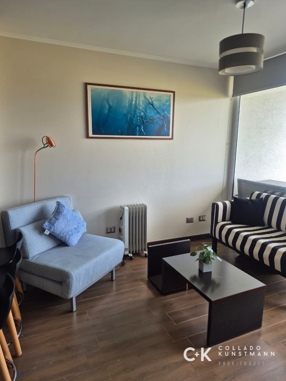 Arriendo Depto amoblado Parque Río Cruces - Imagen 5