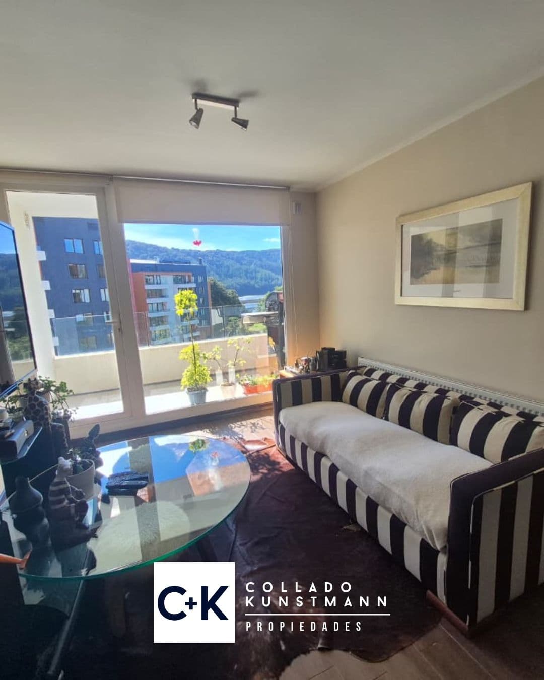 Departamento en Arriendo Parque Rio Cruces, Valdivia - Imagen 5