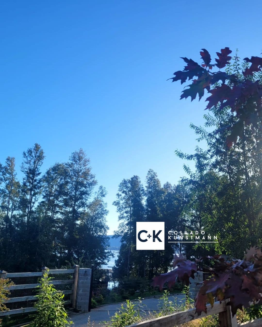 Terreno en venta sector Rebellin, Valdivia - Imagen 2