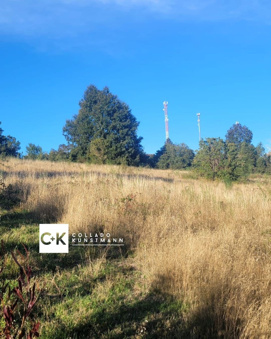 Terreno en venta sector Rebellin, Valdivia - Imagen 4